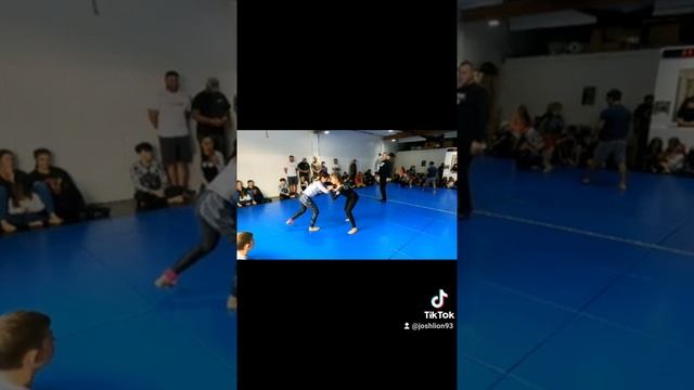 Josh the Lion presents Timeline