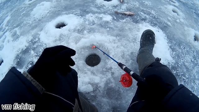 ЗИМНЯЯ РЫБАЛКА! ЛОВЛЯ БЕРША НА ТЮЛЬКУ  ЗАКРЫТИЕ СЕЗОНА 2019!