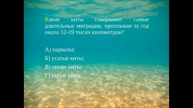 С плавниками,но не рыбы смотреть онлайн