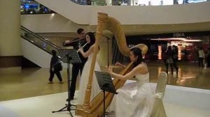 Colours of the Wind - Harp, Flute & Violin Trio