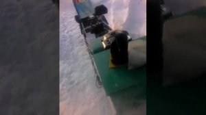 Мотобуксировщик Щукарь 15лс толкач ! Небольшой ремонт !