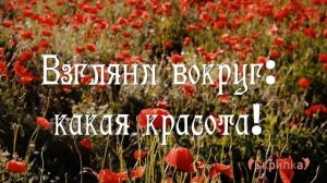 Взгляни вокруг какая красота | |  Фонограмма Минус | |  Христианские песни  | |