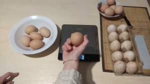 Вес яиц кур Доминантов.СПОРЫ СПОРЫ!!!!