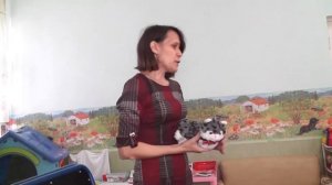 МБДОУ №55. Организация различных видов деятельности с детьми раннего возраста в условиях детского с