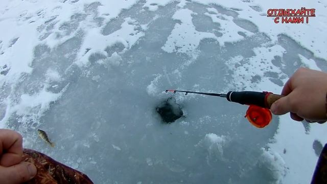 Окунь порадовал. Открыл сезон ЗИМНЕЙ РЫБАЛКИ со льда 2021-22 г. смотреть онлайн