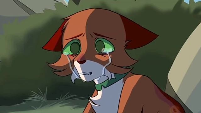 Что было бы если бы Рыжик попал не в Грозовое племя,а в племя Теней?(теория) смотреть онлайн