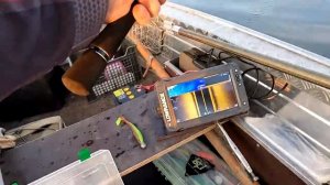 Судак клюет на каждой проводке. Приметы или руки или??? JS COMPANY BIXOD E2 VER.2 BC842XH на джиге.