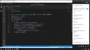 Aula 2 | Sockets | Python para Pentesters