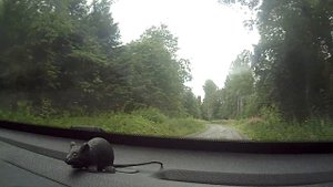 Отдых в Карелии  Турбаза Хекселя