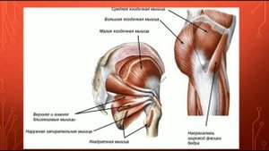 КРЕСТЦОВОЕ СПЛЕТЕНИЕ (короткие ветви)