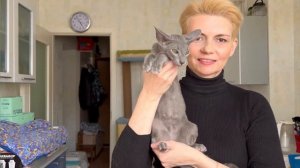 Ориентал Гоша