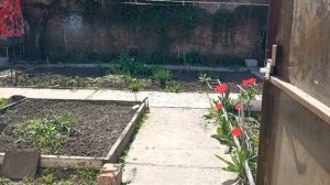 Defender Rage Black -пример работы на улице работа пульта и радио. Мощная портативная колонка 50ват