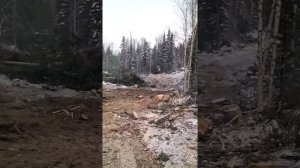 Я на т 130 старший на тт4м младший снимает