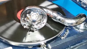 Я тебя люблю. Поет Д. Петреску