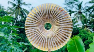 Медитация ✨Пятый Элемент✨ для Мужчин и Женщин