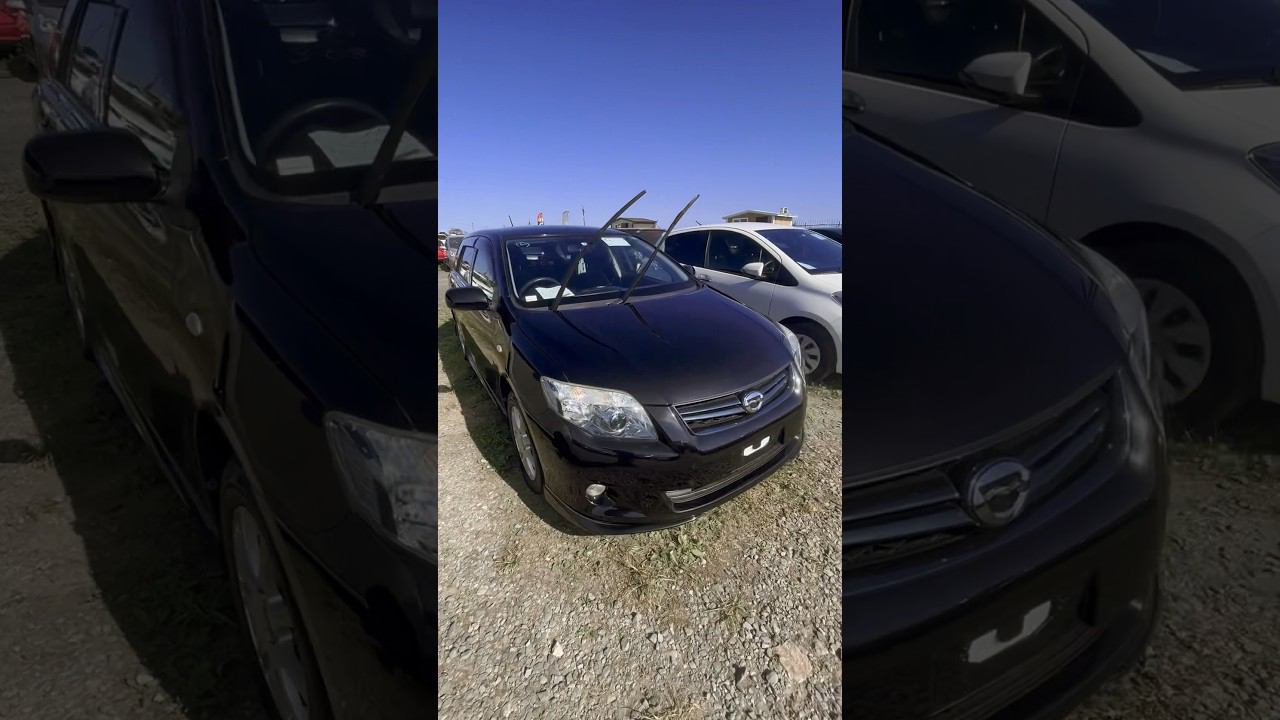 Зеленый угол. Обзор цен сентябрь 2023 года. Corolla Fielder, Vitz. смотреть онлайн