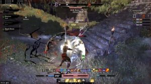 ESO Magplar "Wonder Woman" PVP BG (Destro/S&B)