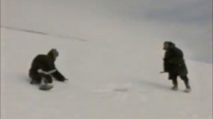 Проверка берлоги белого медведя