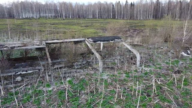 Заброшенный совхоз зарастает борщевиком, деревня Большая Островня (Брянская область) смотреть онлайн