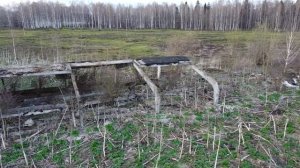 Заброшенный совхоз зарастает борщевиком, деревня Большая Островня (Брянская область)