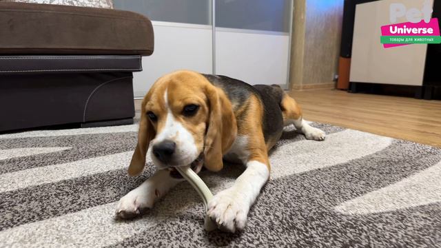 PU8002 Игрушка для собак Pet Universe кость жевательная со вкусом говядины, 15х3х3,5 см смотреть онлайн