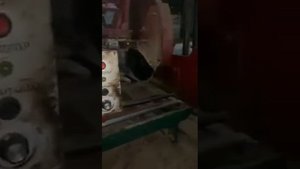 Гризли 1000/170 пилорама дисковая углопильная