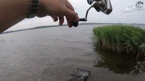 Вот это КАРАСЬ! Рыбалка на фидер летом. DEEPER сделал рыбалку