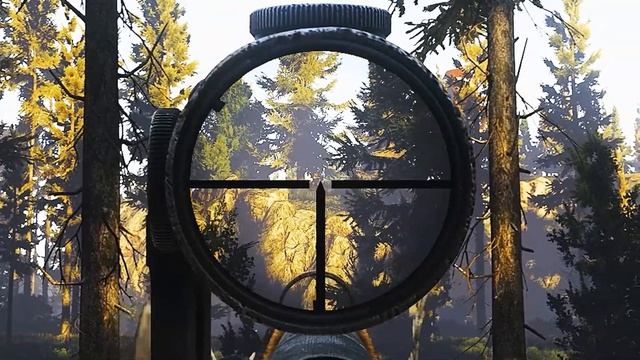 Помогите, мне вайпнули аккаунт в Таркове смотреть онлайн