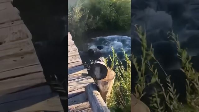 Это было эпично?