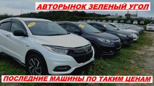 АВТОРЫНОК ЗЕЛЕНЫЙ УГОЛ ПОСЛЕДНИЙ ЗАВОЗ И САМЫЕ АКТУАЛЬНЫЕ ЦЕНЫ 10.09.2023