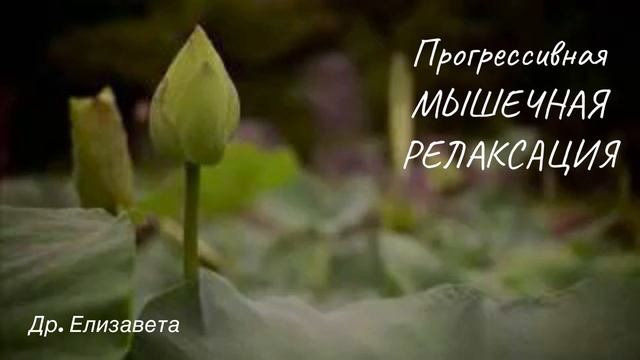 Ежедневное СПОКОЙСТВИЕ | Блаженное глубокое расслабление #др_елизавета #meditation #visualization