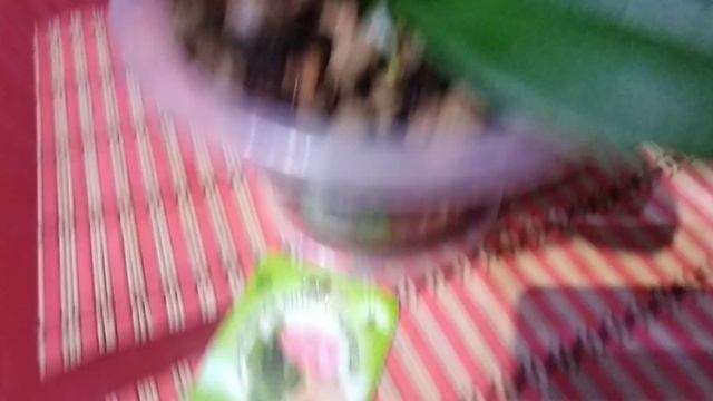 Орхидее помогаю избавиться от мошек спичками и не только смотреть онлайн