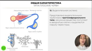 БИОЛОГИЯ ЕГЭ - Тип Плоские Черви