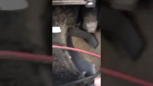 Автосвет своими руками, Лада гранта