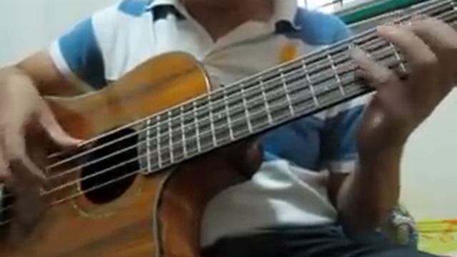 My new Victor Bailey Acoustic Bass смотреть онлайн