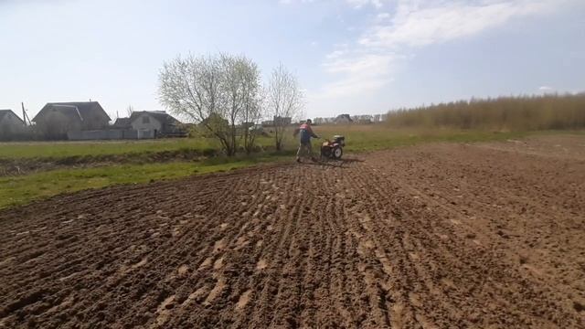 посев люцерны смотреть онлайн