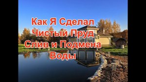Как сделать пруд всегда чистым