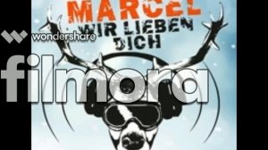 Marcel Hirscher Song