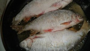 Жареная рыба чебак