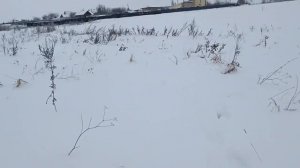 Краткое видео части пути, как я добираюсь на дачу. Блог о даче.