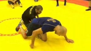 Перевод выседом партере. Шамиль Османов