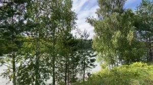 Продаю абсолютно ровный участок на Алтае, на высоком берегу реки Бия, недалеко от Телецкого озера.