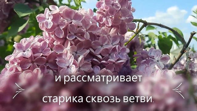 Мираморе