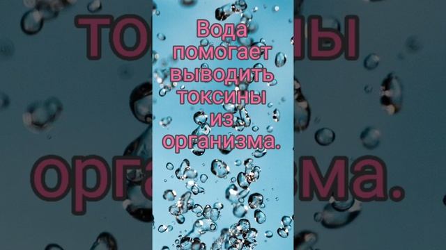 Может ли вода помочь сбросить вес?? #shorts  #вода #water #русские