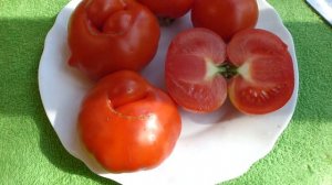 заключительная Сорта томатов в разрезе Марглоб Марманде Кьюр де буе Понтано романеско Принц боргезе