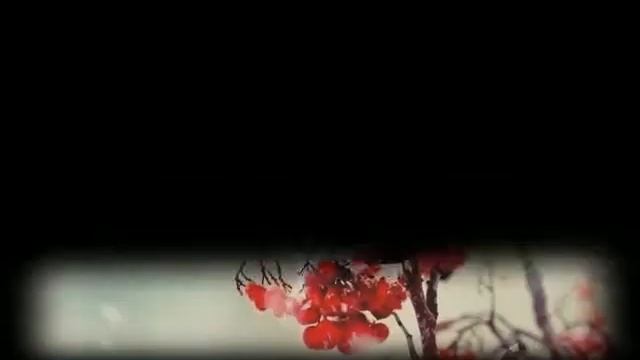 Новогодние птички зима смотреть онлайн