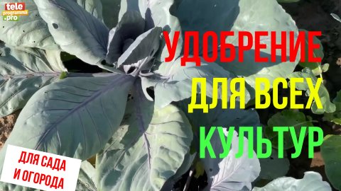 Удобрение для всех культур