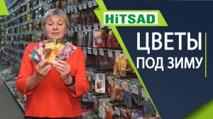 Какие цветы сажают под зиму Посадка цветов в октябре