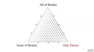 TED   Видим ли мы реальность такой, какая она есть