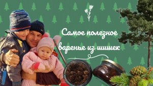 ВАРЕНЬЕ ИЗ ТАЕЖНЫХ ШИШЕК, КОТОРОЕ УКРЕПЛЯЕТ ИММУНИТЕТ!